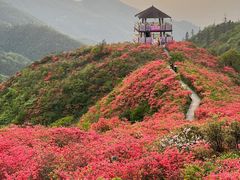 -大围山国家森林公园