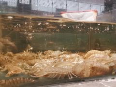 -龙宴海鲜城(经中路店)