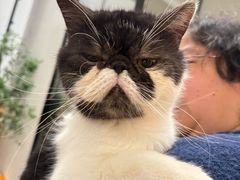 -瑞派康怡24h宠物医院·犬猫医疗中心·微创绝育(瑞景分院)