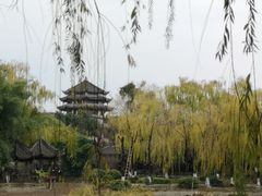 -桂湖森林公园