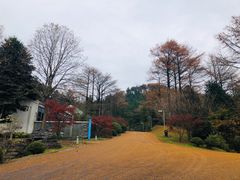 -四明山国家森林公园