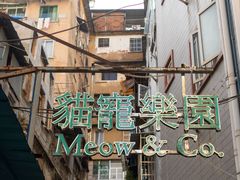 -猫宠乐园·专业洗护