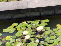 -洛阳市隋唐城遗址植物园