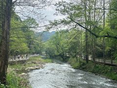 -五泄景区