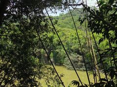 -滴水岩森林公园