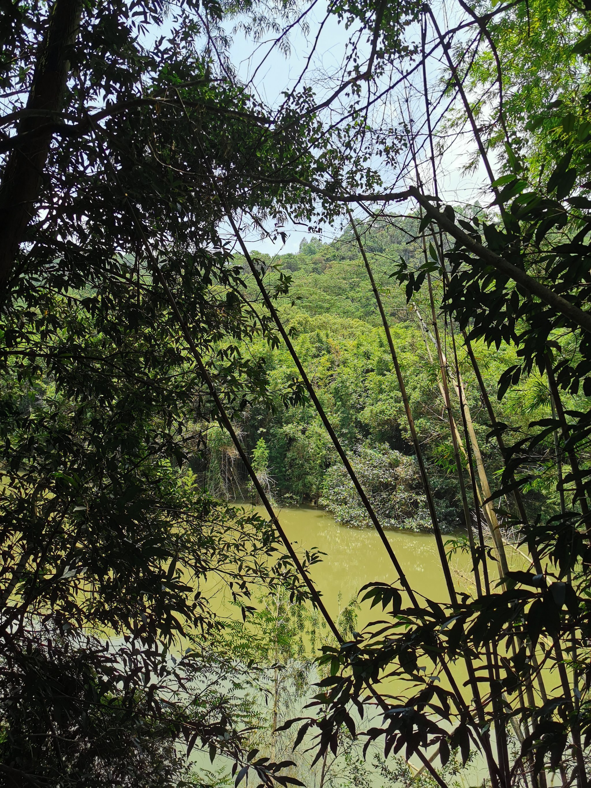在番禺沙湾镇的滴水岩森林公园,在市桥地铁-大众点评