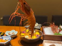 -月龍吟(朝龙汇店)