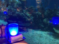 -海棠湾洲际-涛·海底餐厅·美人鱼·自助餐·海底隧道