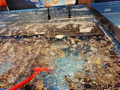 -焰江山海鲜牛排烤肉自助(锦华万达二星店)
