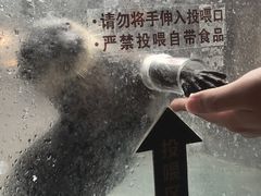 -哈尔滨波塞冬海底世界