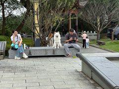 -敬亭山风景名胜区