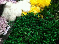 -秦美花卉(天朗·莱茵小城2期店)