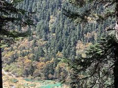 -黄龙山原始森林景区