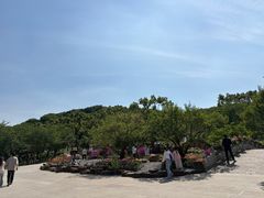 -苏州上方山国家森林公园