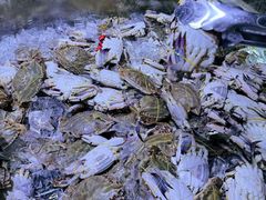 -聚盛源蒸汽海鲜火锅烤肉自助(巨川金海岸购物广场店)