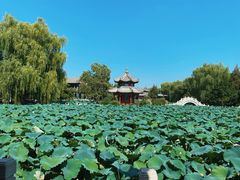 -莲池书院博物馆