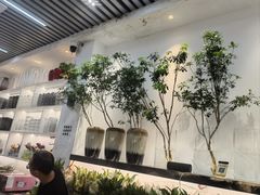 -溪岸路花鸟市场