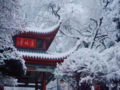 -橘子洲景区
