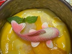 锦鲤杨枝甘露-粤·向群饭店(麓景路店)