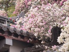 -武汉园博园(武汉自然博物馆)