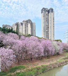 -梓爱月子中心(花都店)