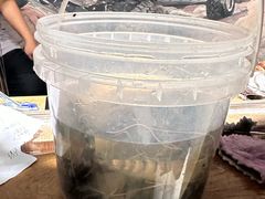 -DGE季风钓虾营地·团建·聚会