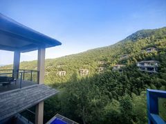 -杨氏青龙虾·羊蝎子(珠江路店)