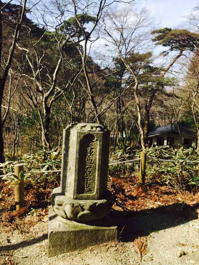 瑞宝寺公园-"一个小众的景点 就在我们酒店旁边 步行.