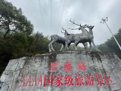 -长沙黑麋峰国家森林公园