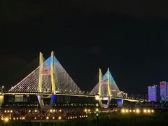 -武汉关码头(轮渡站)