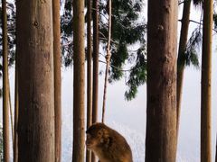 -太阳湾风景区
