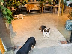 -自由生长植物工作室(深港花卉中心店)