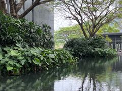 -三亚太阳湾柏悦酒店