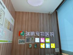 -瑞鹏宠物医院·内科·中兽医·骨科(苗圃店)