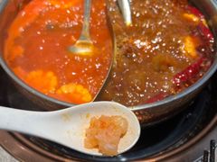 -菌自在·云南野生菌火锅(长安万达店)