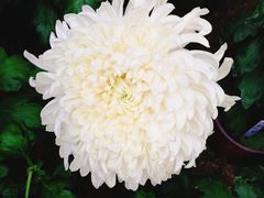 -上海市龙华烈士陵园