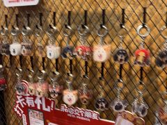 -和它·交个朋友·狗咖猫咖(爱琴海店)