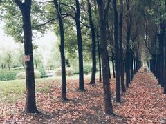 -同济大学(嘉定校区)