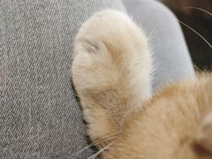 -默迹咖啡馆