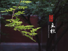 -北京艺术博物馆(万寿寺)