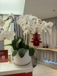 -Yestar宁波艺星整形医院