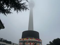 -龟山风景区-龟山电视塔