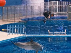 -泉城欧乐堡海洋极地世界