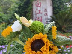 -广州白江湖森林公园