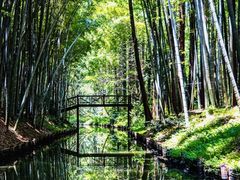 -同里国家湿地公园