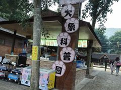 -野象谷景区