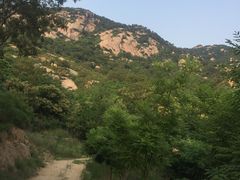 -鲁山国家森林公园