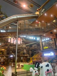 -卡通尼·Safari非洲探索乐园·生日会(金桥国际商业广场店)