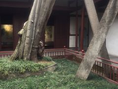-太平天国侍王府