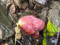 -东天目山风景区